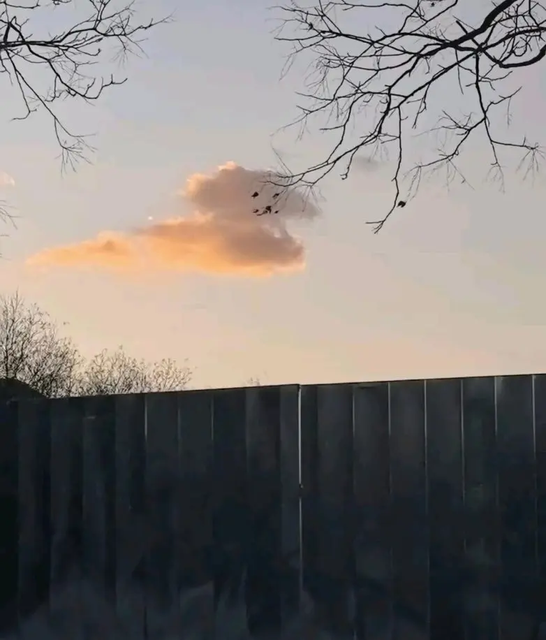 Ожившие предметы: когда обычные вещи смотрят на вас