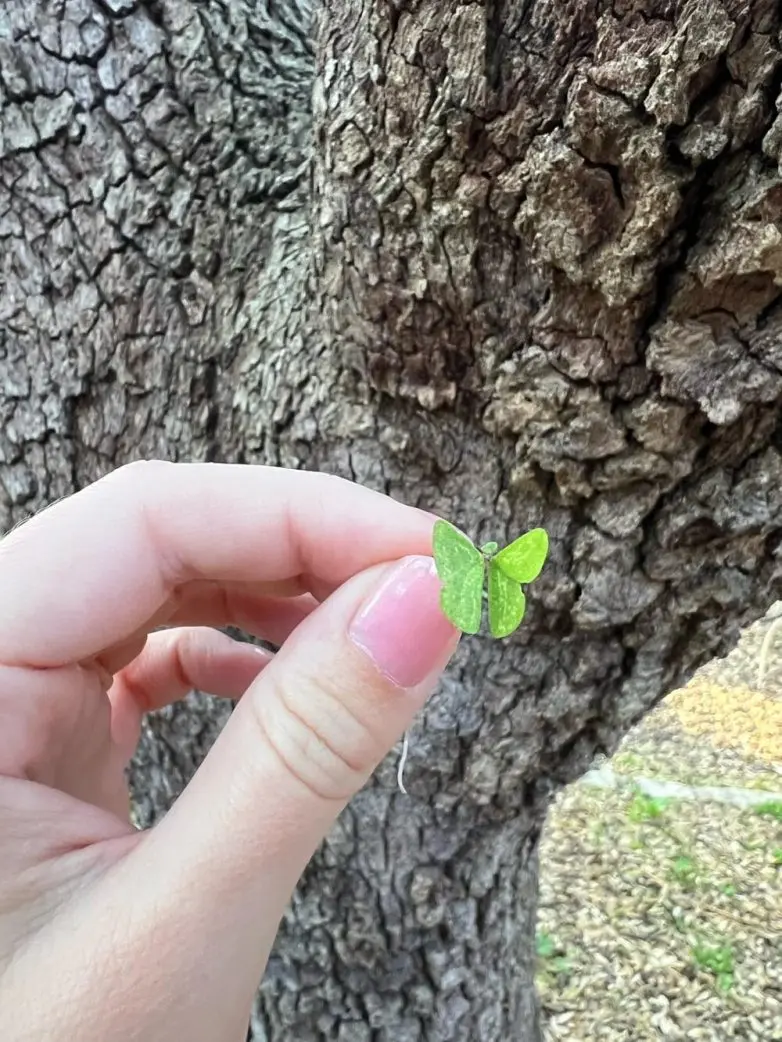 Ожившие предметы: когда обычные вещи смотрят на вас