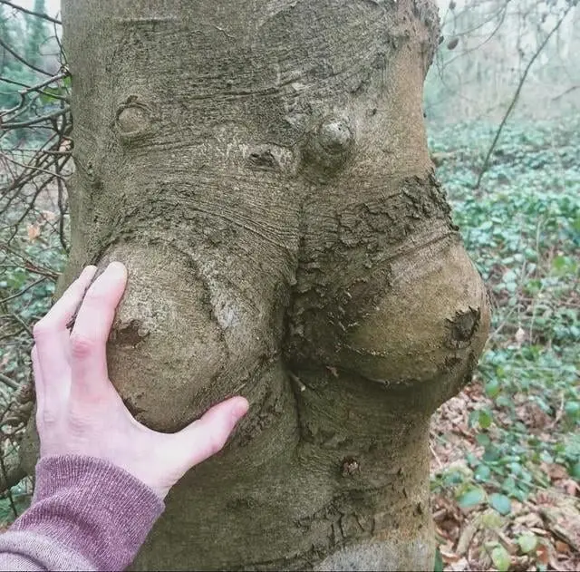 Ожившие предметы: когда обычные вещи смотрят на вас