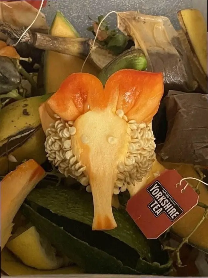 Ожившие предметы: когда обычные вещи смотрят на вас