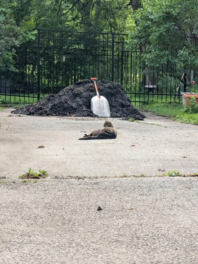 Когда реальность играет с нами в прятки: 20 фото с обманом зрения