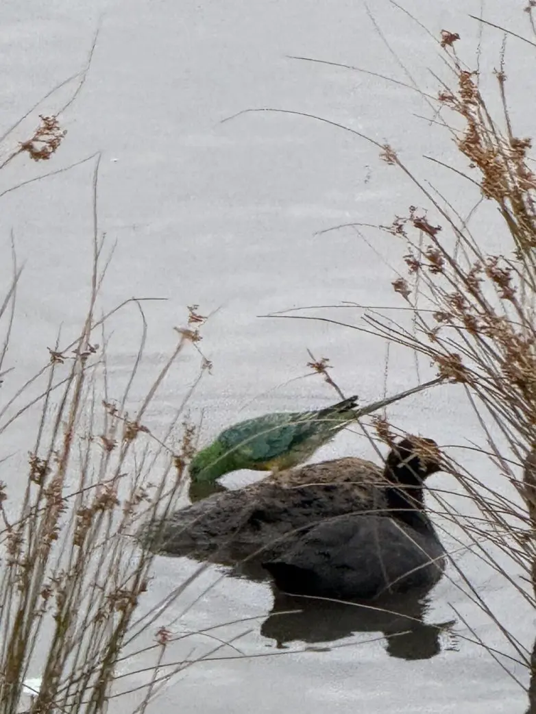 Когда реальность играет с нами в прятки: 20 фото с обманом зрения
