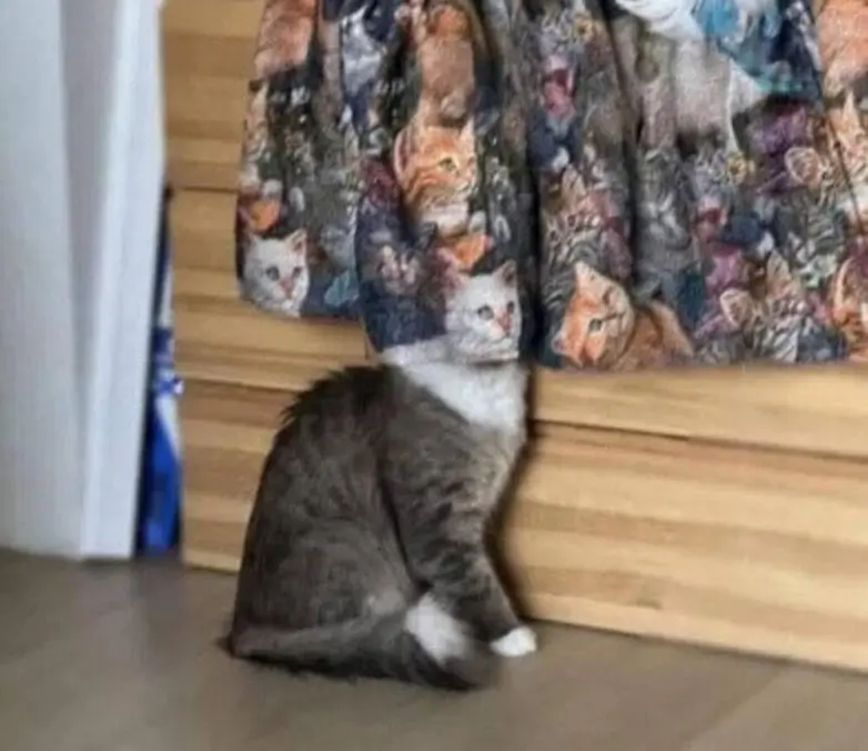 Когда реальность играет с нами в прятки: 20 фото с обманом зрения