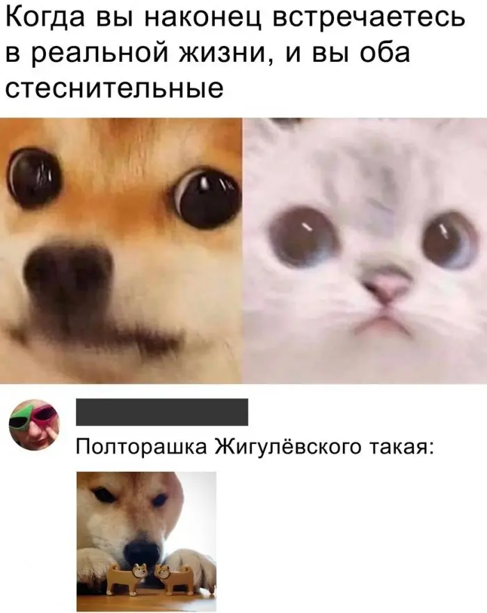 Взрослые приколы: свежая подборка пошлых шуток из соцсетей