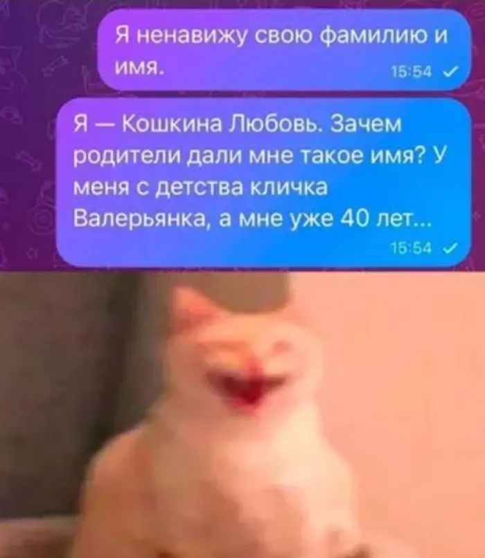 Взрослые приколы: свежая подборка пошлых шуток из соцсетей