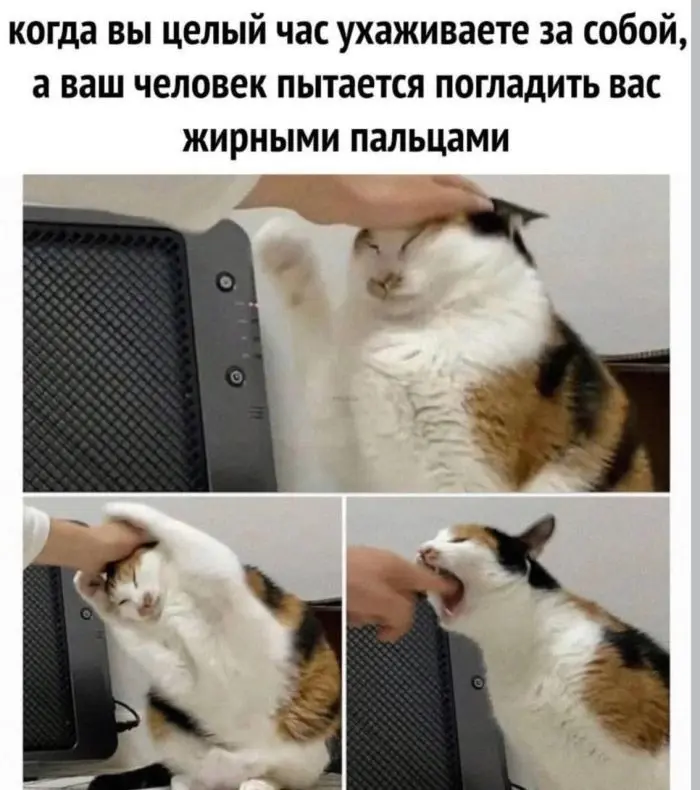 Лучшая подборка смешных картинок и мемов для ваших выходных