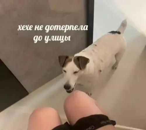 Лучшая подборка смешных картинок и мемов для ваших выходных