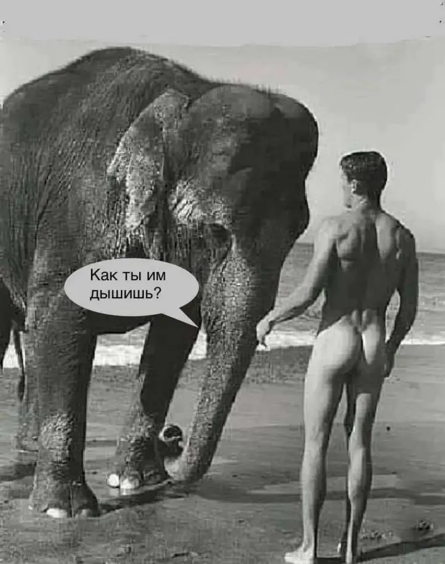 Лучшая подборка смешных картинок и мемов для ваших выходных