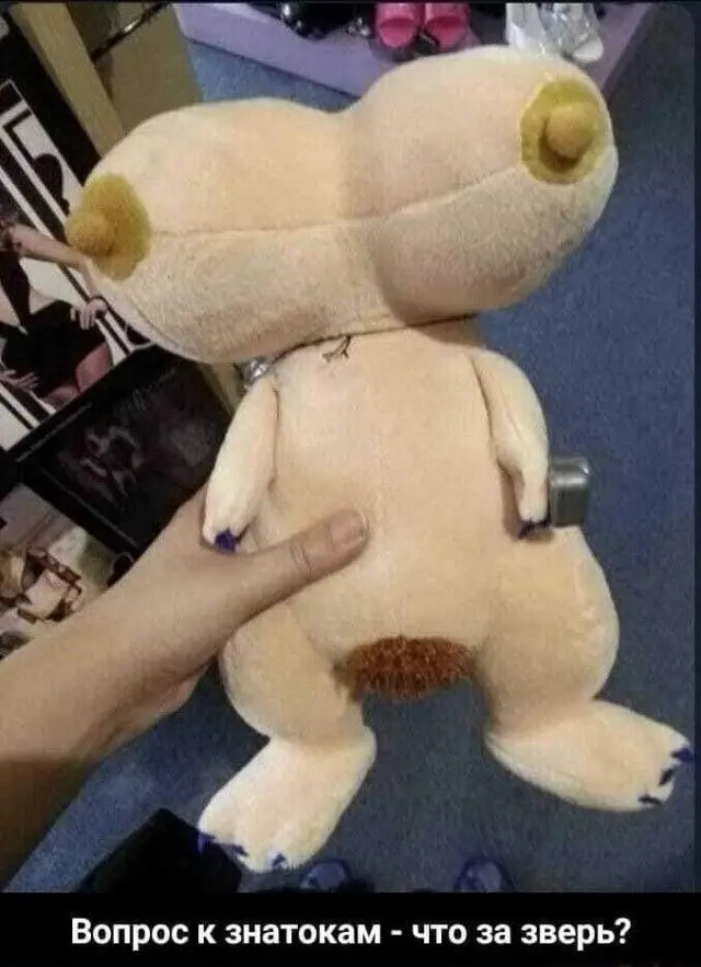 Лучшая подборка смешных картинок и мемов для ваших выходных