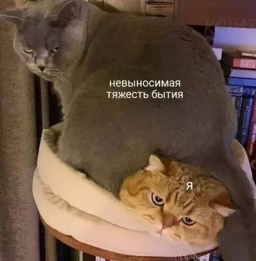 Лучшая подборка смешных картинок и мемов для ваших выходных