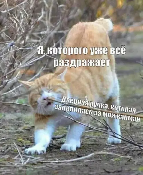 Лучшая подборка смешных картинок и мемов для ваших выходных