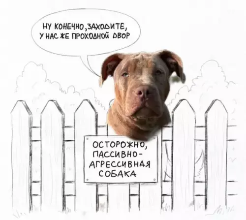 Лучшая подборка смешных картинок и мемов для ваших выходных