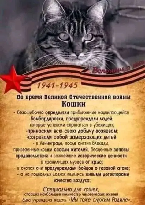 Политические анекдоты и саркастические заметки дня