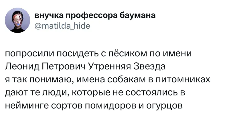 Лучшие твиты недели: юмор из заблокированного X