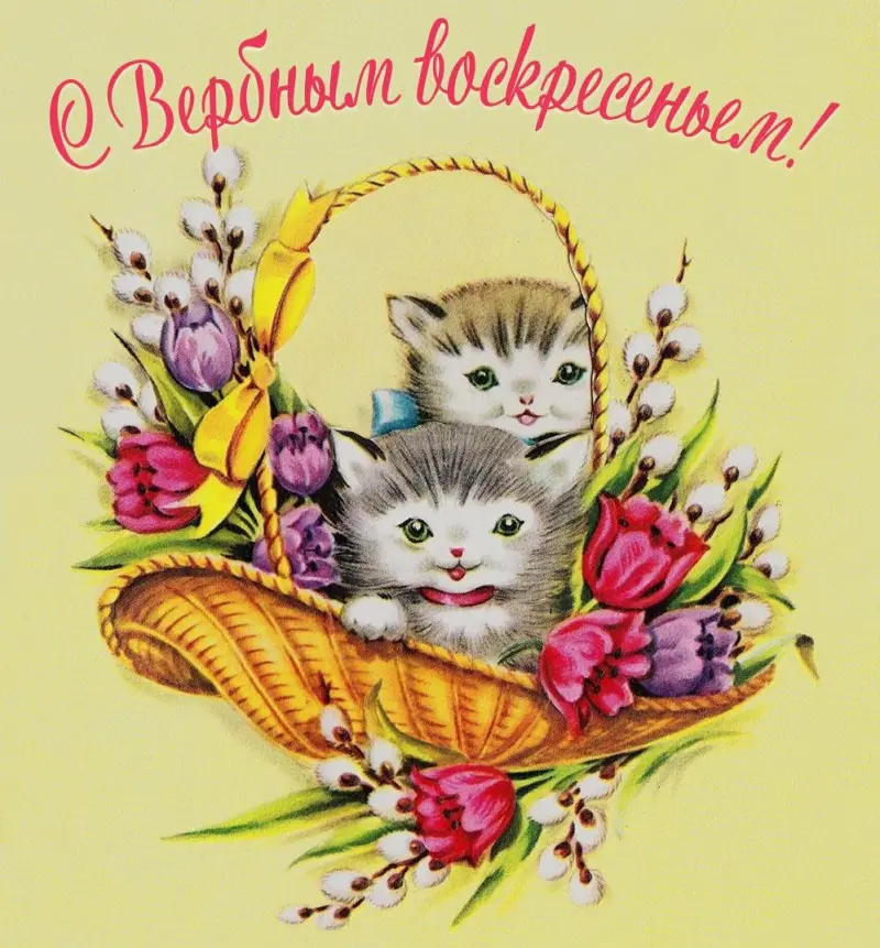 Традиции Вербного воскресенья и коллекция открыток для поздравления