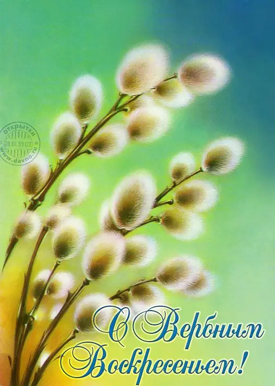 Традиции Вербного воскресенья и коллекция открыток для поздравления