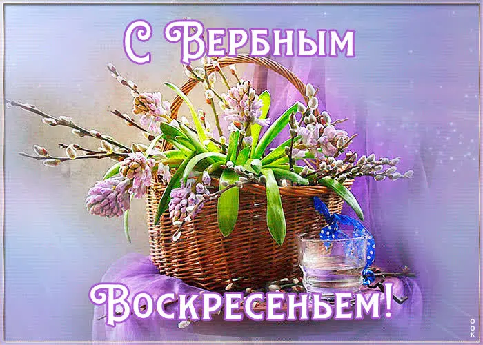 Традиции Вербного воскресенья и коллекция открыток для поздравления