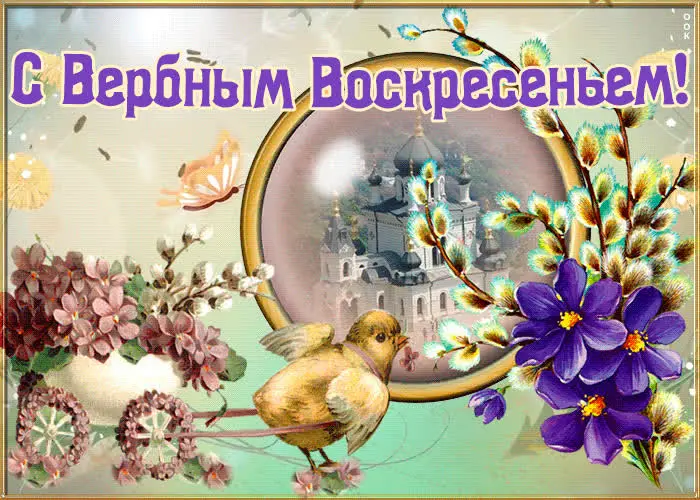 Традиции Вербного воскресенья и коллекция открыток для поздравления