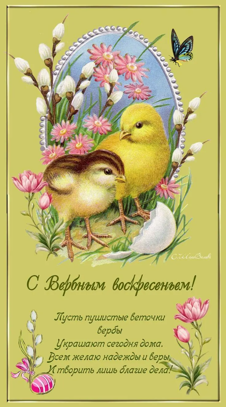 Традиции Вербного воскресенья и коллекция открыток для поздравления