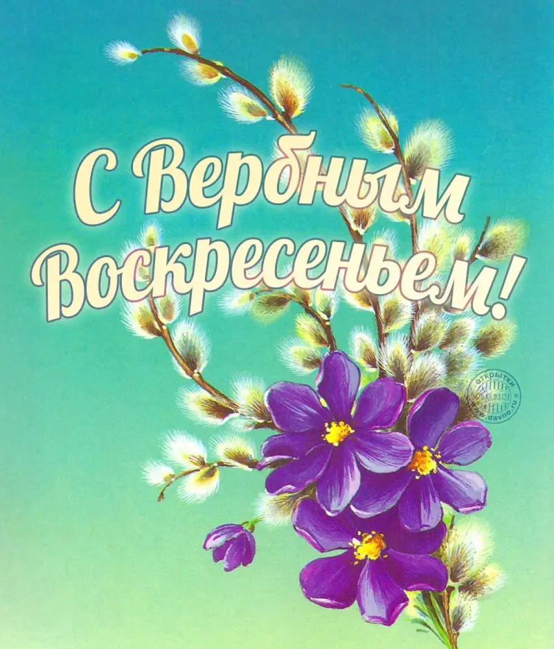 Традиции Вербного воскресенья и коллекция открыток для поздравления