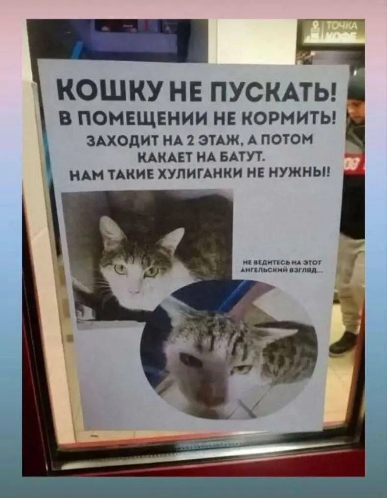 Самые смешные картинки недели: новая порция юмора