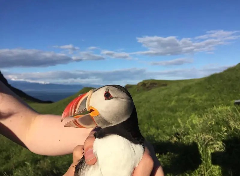 Тайна белого дома: кто на самом деле живёт на самом одиноком острове Исландии