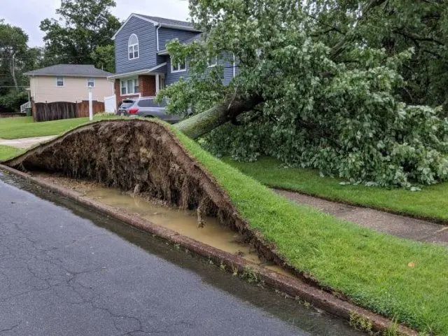 Вечерняя подборка забавных картинок