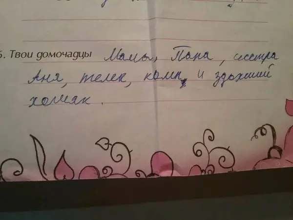 Забавные решения школьных тестов