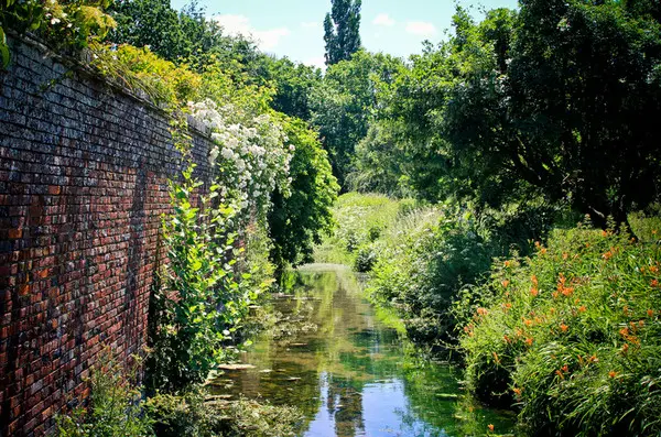 Белый сад Джекилл