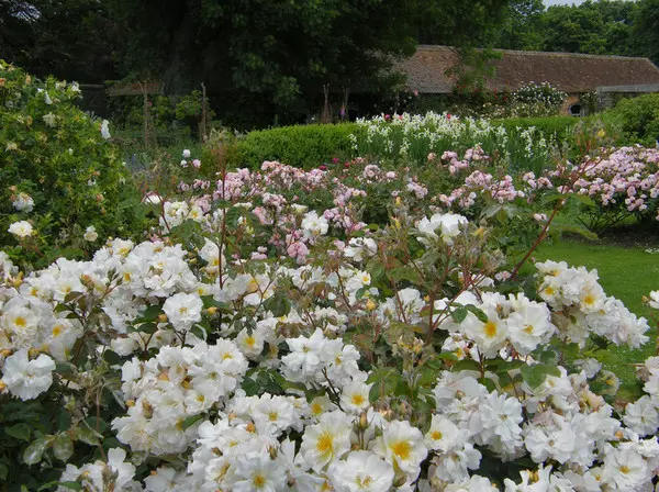 Ландшафтный дизайн Баррингтон-Корт