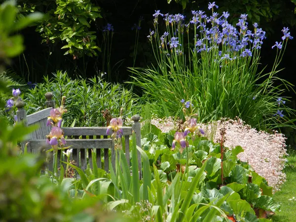 Не для хвастовства