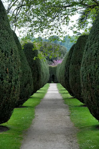 Уютные уголки сада