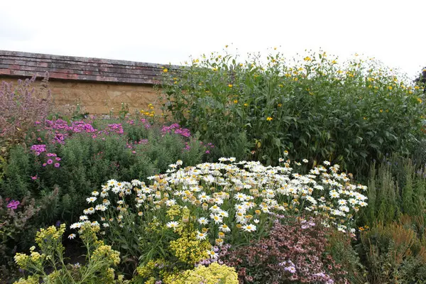 Природная гармония