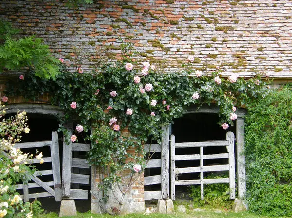 Ландшафтные решения