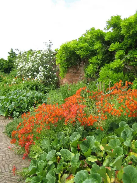Эдвин Лютиенс и Джекилл