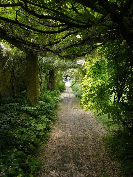 Мастерство Джекилл