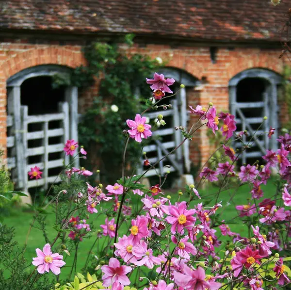 Совершенство сада