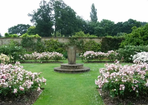 Геометрия сада