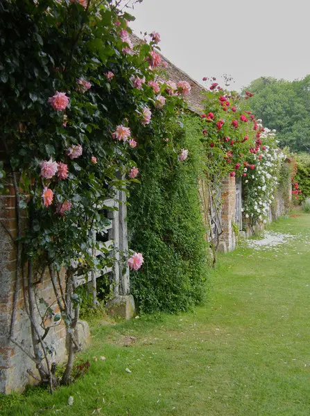 Декоративность сада