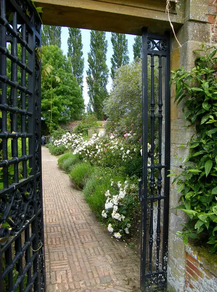 Импрессионизм в саду