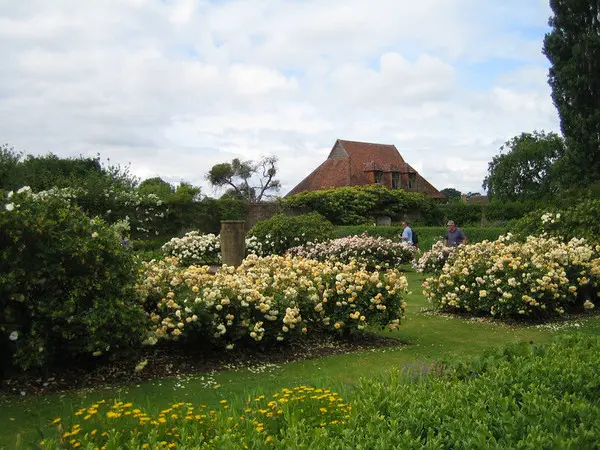 Вдохновение природой