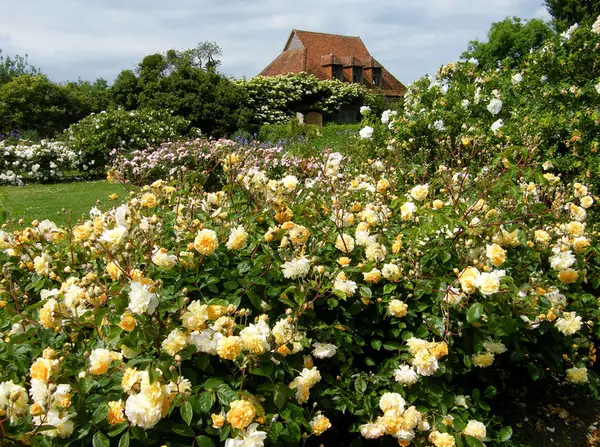 Геометрия и природа