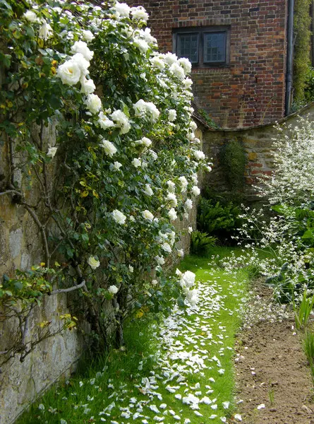 Сад Баррингтон-Корт в Сомерсете