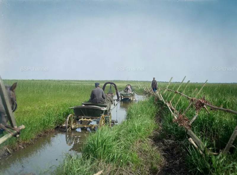 Цветная хроника: 20 редких кадров из жизни Российской империи Цветная хроника: 20 редких кадров из жизни Российской империи