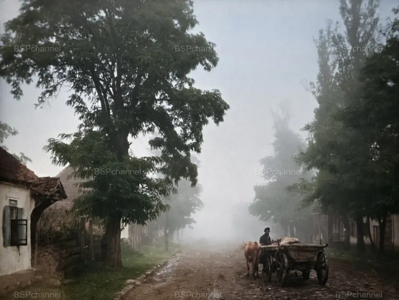 Цветная хроника: 20 редких кадров из жизни Российской империи Цветная хроника: 20 редких кадров из жизни Российской империи