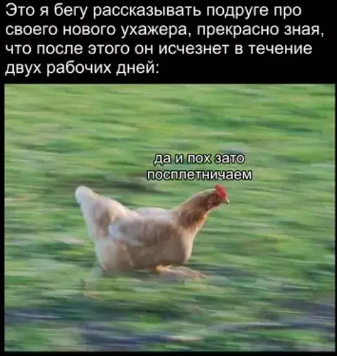 Зарядка позитивом: мемы и картинки против понедельничной хандры