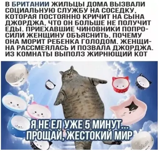 Зарядка позитивом: мемы и картинки против понедельничной хандры