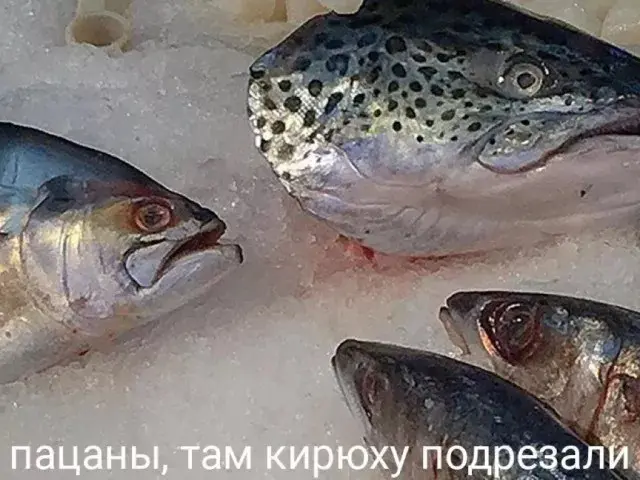 Зарядка позитивом: мемы и картинки против понедельничной хандры