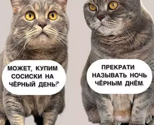 Зарядка позитивом: мемы и картинки против понедельничной хандры