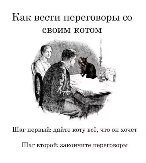 Зарядка позитивом: мемы и картинки против понедельничной хандры